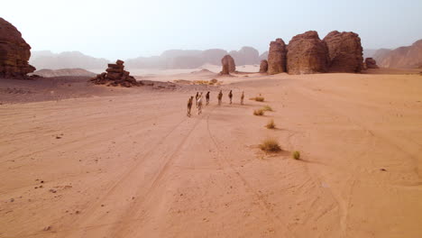 Caravan-Of-Wild-Camels-Running-In-The-Desert-Of-Tassili-n'Ajjer-National-Park-Near-Djanet-At-Sunset-In-Algeria