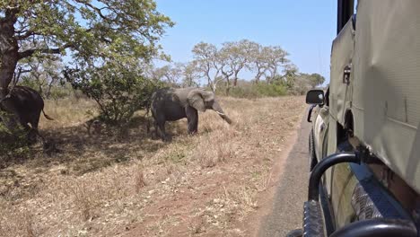 Beobachten-Sie-Elefanten-In-Der-Savanne-Von-Einem-Safari-Jeep-Aus
