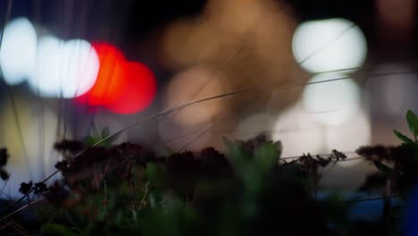 Night-city-ambience-bokeh,-plants-blowing-in-wind,-colours-moving-slowmotion