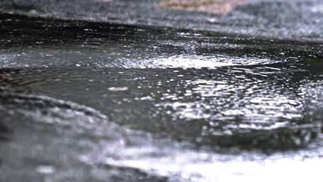 Eine-Regenpfütze-Schimmert-Auf-Dem-Boden-Und-Spiegelt-Den-Schein-Der-Straßenlaternen-Darüber-Wider