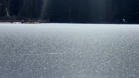 Tilt-up-handheld-shot-of-the-frozen-Silver-Lake-revealing-a-wooden-boardwalk-and-pine-trees-in-the-famous-ski-town-of-Brighton,-Utah-on-a-sunny-warm-winter-day