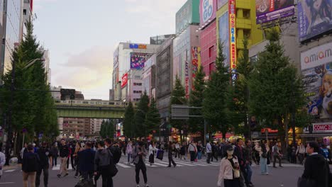 Zeitlupenschwenk,-Menschen-Auf-Der-Straße-An-Einem-Herbsttag-In-Japan,-Während-Der-Zug-Vorbeifährt
