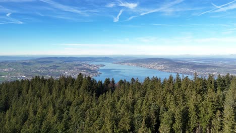 Aerial-evergreen-forest-Zurich-lake-in-Switzerland-in-wonderful-nature-reveal
