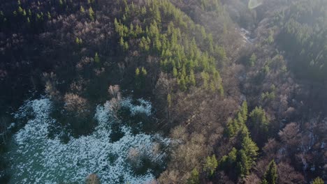 Clip-Cinematográfico-De-Drones-Sobre-El-Bosque-De-Coníferas-Y-La-Nieve-En-El-Macizo-De-Vitosha,-Cerca-De-Sofía,-Bulgaria