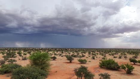 Luftaufnahme-über-Dem-Buschland-Der-Kalahari,-Dunkle-Regenwolken-In-Der-Ferne