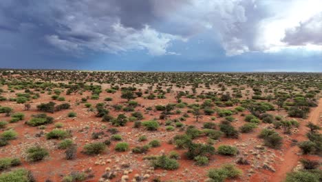 Luftdrohnenansicht-Zeigt-Regenwolken-über-Der-Südlichen-Kalahari-Landschaft