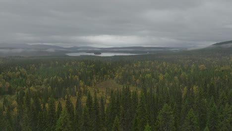 Drone-aerial-footage-of-a-misty-forest-with-a-lake-at-the-horizon
