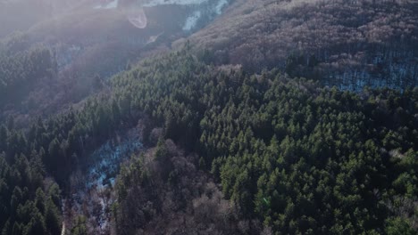 Cinematic-4K-drone-clip-over-the-coniferous-forest-of-Vitosha-National-Park,-close-to-Sofia,-Bulgaria