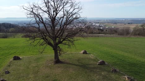 Aerial-view-of-the-famous-linden-tree-on-a-plateau-near-the-town-of-Esslingen-near-Stuttgart-in-southern-Germany