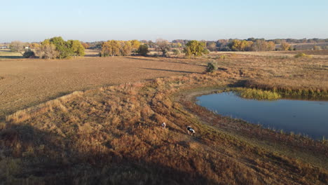 Drone-footage-of-farmland-in-Colorado-during-autumn