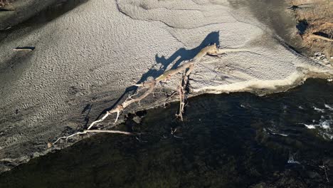 Drone-head-view-of-a-pond-and-river-flow-that-is-badly-eroded-with-a-fallen-tree