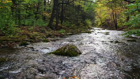 Beautiful-low-backward-slow-motion-drone-footage-over-a-beautiful,-mossy-woodland-forest-stream-during-autumn
