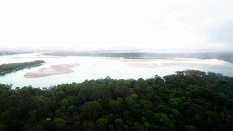 Tropical-Green-Forests-In-Noosa-River,-Sunshine-Coast,-Queensland,-Australia
