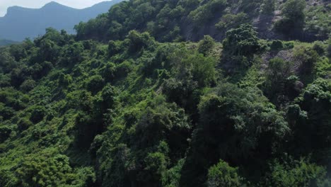 Drone-shot-of-Aliyar-Reserve-Forest,-Coimbatore,-Tamil-Nadu,-South-India