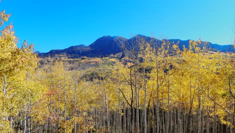 Colorful-Colorado-yellow-fall-autumn-Aspen-tree-forest-cinematic-aerial-drone-Kebler-Pass-Crested-Butte-Gunnison-wilderness-dramatic-incredible-landscape-daylight-slowly-up-reveal-peaks-motion