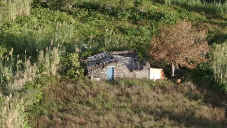 Luftaufnahme-Eines-Alten-Kaputten-Hauses-Auf-Der-Azoreninsel-Flores---Drohnenaufnahme