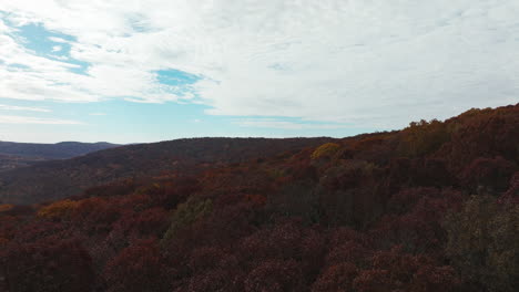 Dense-Autumn-Forests-In-Arkansas,-United-States---Aerial-Drone-Shot