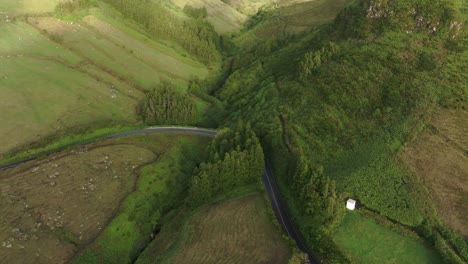White-car-drives-on-small-road-in-middle-of-green-nature-at-Flores-Azores,-aerial