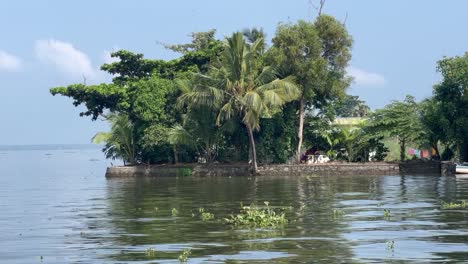 pov-shot-close-up-seen-There-are-big-coconut-trees-in-the-middle-of-the-water-and-small-houses-are-also-visible,-there-are-also-many-tall-trees
