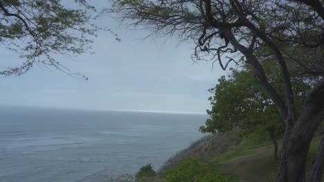 Ein-Blick-Auf-Das-Meer-Von-Einer-Klippe,-Umrahmt-Von-Einem-Baum-In-Oahu,-Hawaii