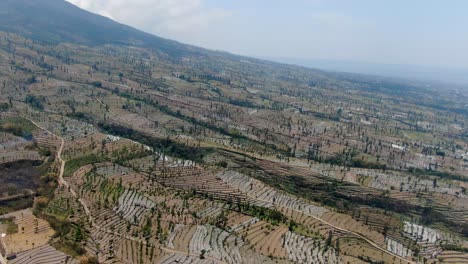 Dead-crop-fields-during-dry-season-in-Indonesia,-aerial-view