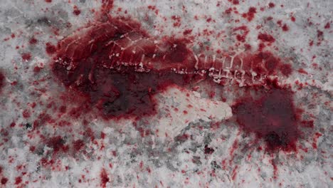 Top-down-tracking-view-of-blood-splattered-on-icy-road-after-traffic-accident