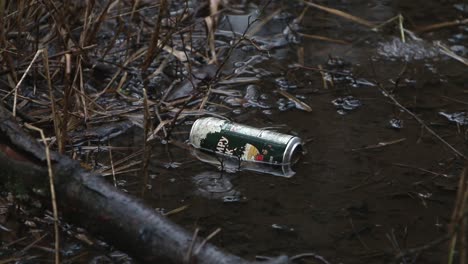 Discarded-aluminium-drinks-can-floating-at-edge-of-pond-in-rain