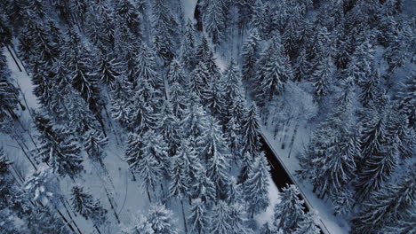 Revealing-aerial-above-a-winter-wonderland,-capturing-the-serene-beauty-of-a-snow-laden-forest-with-road-leading-through-it