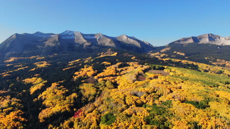 Farbenfrohe,-Filmische-Luftdrohne-In-Colorado,-Kebler-Pass,-Crested-Butte,-Gunnison-Wildnis,-Herbst,-Gelbe-Espenbäume,-Dramatische,-Unglaubliche-Landschaft,-Tageslicht,-Bluebird,-Felsige-Gipfel,-Abwärtsbewegung