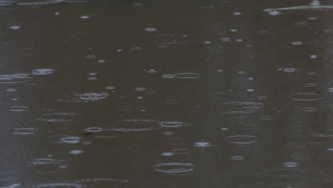 Rain-falling-on-surface-of-lake.-Winter.-UK