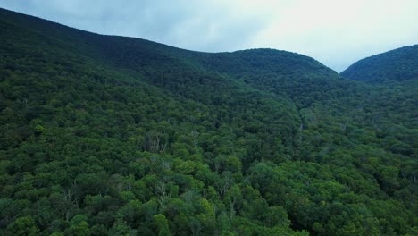 stunning-spring-time-drone-footage-deep-in-the-Appalachian-mountains