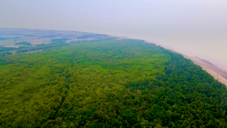 Vasto-Paisaje-De-Denso-Bosque-Tropical-Cerca-De-La-Playa-De-Kuakata-En-Bangladesh