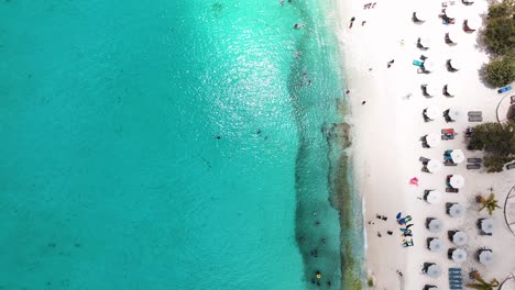 The-drone-is-flying-topdown-above-a-white-beach-with-parasols-and-people-swimming-in-the-aqua-blue-ocean-in-Curacao-Aerial-Footage-4K