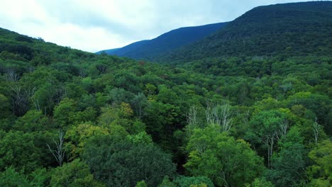 Beautiful-springtime-drone-footage-in-the-Appalachian-Mountains