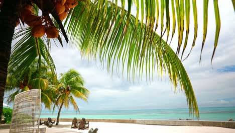 Static-shot-of-tropical-beach-resort-at-the-seaside-with-palm-trees