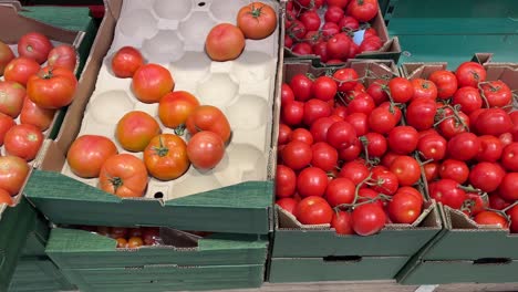 Tomates-Frescos-Exhibidos-En-Cajas-De-Madera-En-Un-Mercado