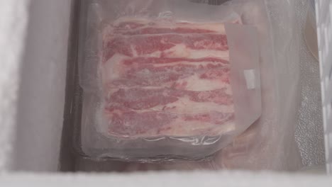 Person-putting-meat-package-inside-freezer.-Close-up