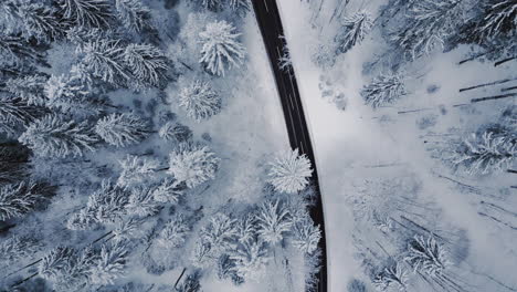 Bird-eye-aerial-above-a-winter-wonderland,-capturing-the-serene-beauty-of-a-snow-laden-forest-with-road-leading-through-it