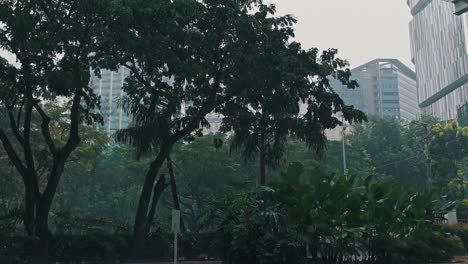 Tropical-rain-storm-falling-onto-foliage-in-urban-scene-at-street-level-of-Cebu-City---Philippines