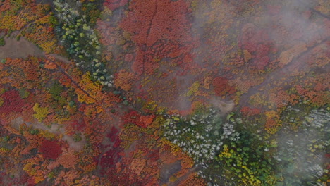 Unique-birds-eye-view-foggy-cloudy-Colorful-Colorado-aerial-cinematic-drone-San-Juans-Range-Ridgway-Mount-Sniffels-Wilderness-Million-Dollar-Highway-Dallas-Range-autumn-fall-forward-motion