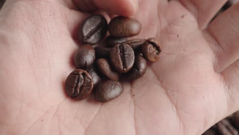 Person-holding-on-hand-few-roasted-coffee-beans