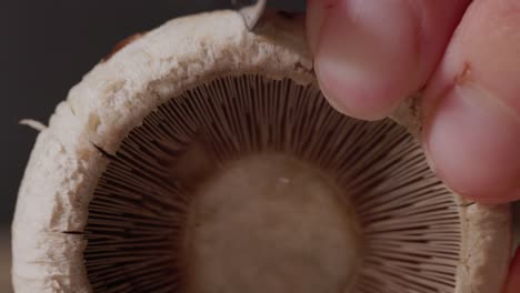Mushroom-Close-Up-Cut-With-A-Knife