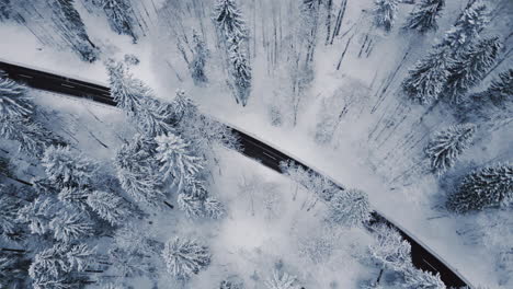 Aerial-tilt-up-shot-of-white-car-on-asphalt-road-between-snowy-forest-landscape-in-Germany