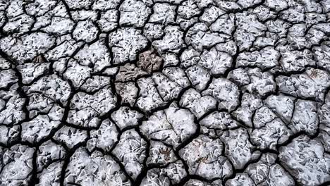 Striking-geometric-patterns-created-in-the-mud-of-a-dried-up-body-of-water