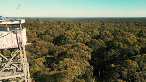 drone-shot-going-backward-revealing-Diamond-Tree-fire-lookout-located-at-the-top-of-a-giant-karri-tree-in-Western-Australia-near-Pemberton