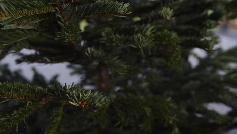 Hanging-Golden-Christmas-bubble-on-Christmas-Tree-Daylight-4K
