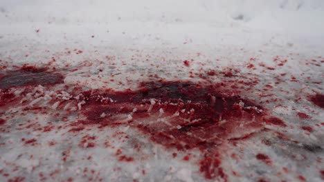 Thick-patch-of-blood-stains-snow-on-icy-road-after-car-accident