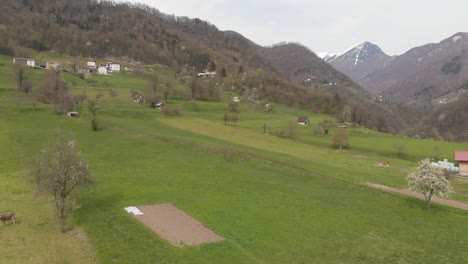 Luftaufnahmen-Von-Ländlichen-Weiden-In-Der-Slowenischen-Landschaft,-Grasende-Kühe,-Bewölkter-Tag,-Drohne