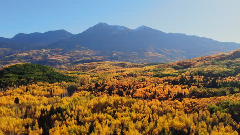 Colorful-Colorado-cinematic-aerial-drone-Kebler-Pass-Crested-Butte-Gunnison-wilderness-autumn-fall-yellow-Aspen-Trees-dramatic-incredible-landscape-daylight-bluebird-Rocky-Peaks-downward-quick-motion