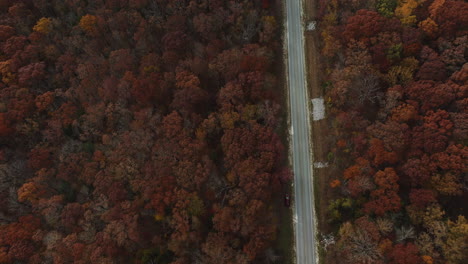 Top-view-of-Autumn-fall-forest-road,-aerial-drone-tilt-up-reveal-landscape,-USA